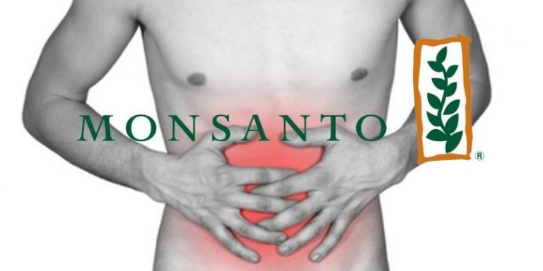 Directo al estómago: golpes bajos de Monsanto y compañía 6 Directo al estómago: golpes bajos de Monsanto y compañía