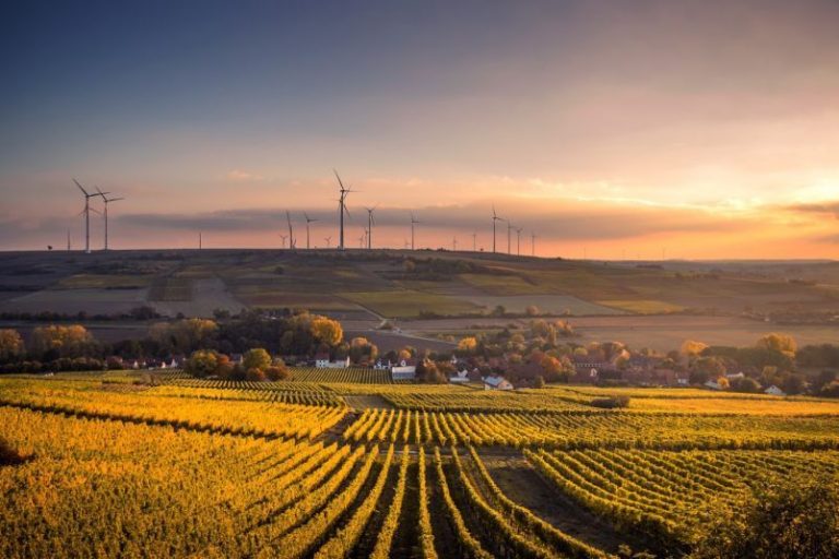 El fracaso energético alemán: Cómo seguir quemando carbón en nombre de las energías renovables 4 El fracaso energético alemán: Cómo seguir quemando carbón en nombre de las energías renovables