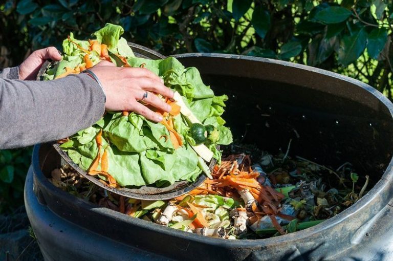 Latinoamérica desperdicia cada día 348 mil toneladas de alimentos. Estos son los 4 peores países 4 Latinoamérica desperdicia cada día 348 mil toneladas de alimentos. Estos son los 4 peores países