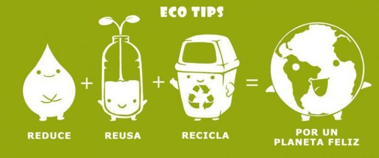 Ecotips para una vida más sustentable 11 Ecotips para una vida más sustentable