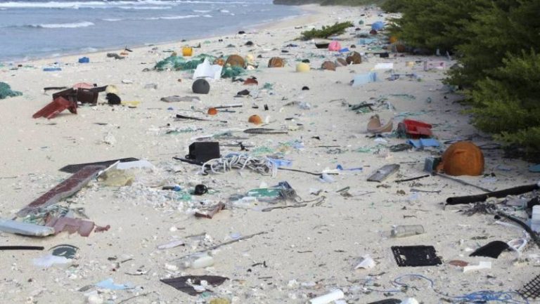El séptimo continente: La gigantesca Isla de la Basura 6 El séptimo continente: La gigantesca Isla de la Basura