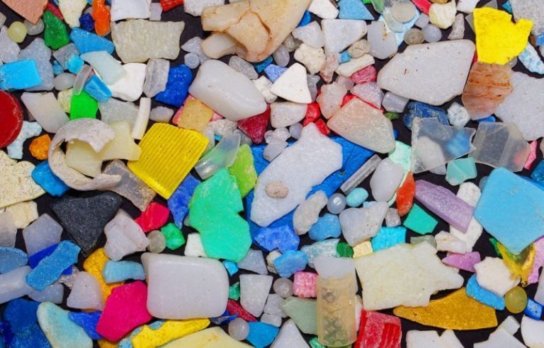 Microplásticos en el agua potable y algunos alimentos 1 Microplásticos en el agua potable y algunos alimentos