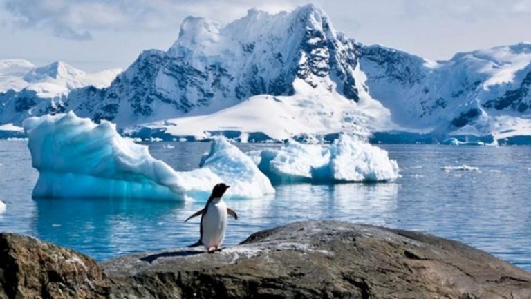 ¿Qué pasaría si la temperatura del Antártico aumentara un grado centígrado? 4 ¿Qué pasaría si la temperatura del Antártico aumentara un grado centígrado?