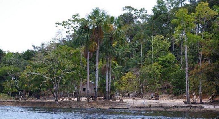Un juez frena el decreto de Temer para abrir una reserva amazónica a la actividad minera 9 Un juez frena el decreto de Temer para abrir una reserva amazónica a la actividad minera