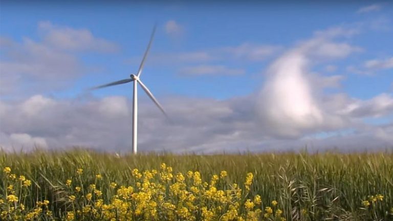 Las energías renovables se convertirán en la mayor fuente mundial de generación eléctrica en 2025 9 Las energías renovables se convertirán en la mayor fuente mundial de generación eléctrica en 2025