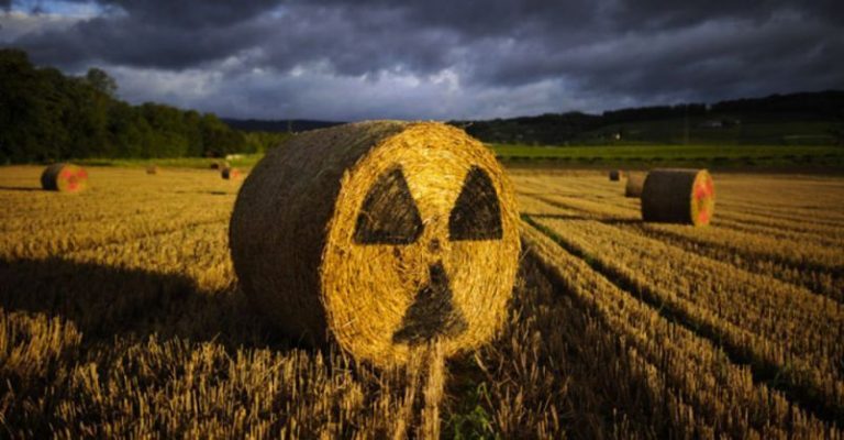 Suelos, aguas y alimentos mexicanos están contaminados con radiactividad como consecuencia de las pruebas nucleares de EE.UU 5 Suelos, aguas y alimentos mexicanos están contaminados con radiactividad como consecuencia de las pruebas nucleares de EE.UU