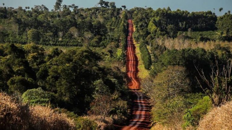 El problema de los bosques y selvas argentinos 7 El problema de los bosques y selvas argentinos