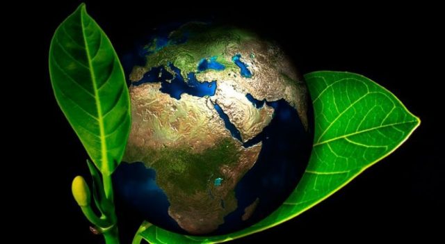 Por qué ya no se podrá revertir el Cambio Climático, si no se toman drásticas acciones ahora 3 cambio climático, peces, acidificación, combustibles fósiles, energías renovables