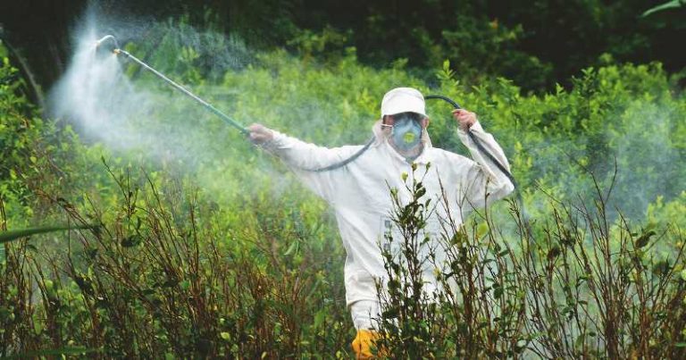 Un tribunal de California suspendió un programa estatal de fumigaciones, por sus posibles impactos en la salud 4 Un tribunal de California suspendió un programa estatal de fumigaciones, por sus posibles impactos en la salud