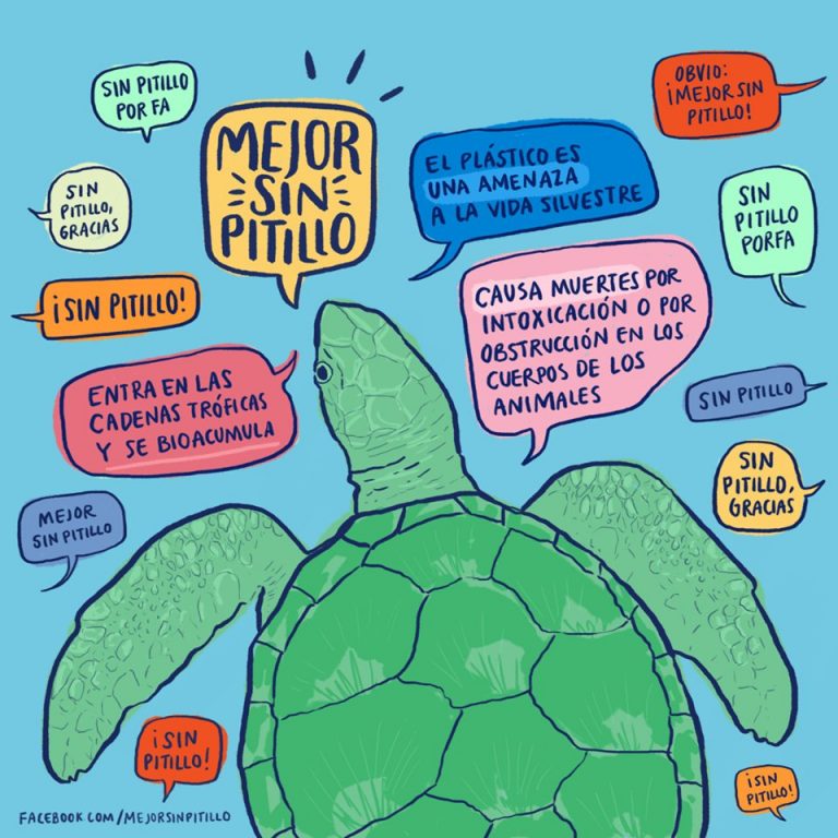 Un invento para acabar con las pajillas tan contaminantes 17 Un invento para acabar con las pajillas tan contaminantes