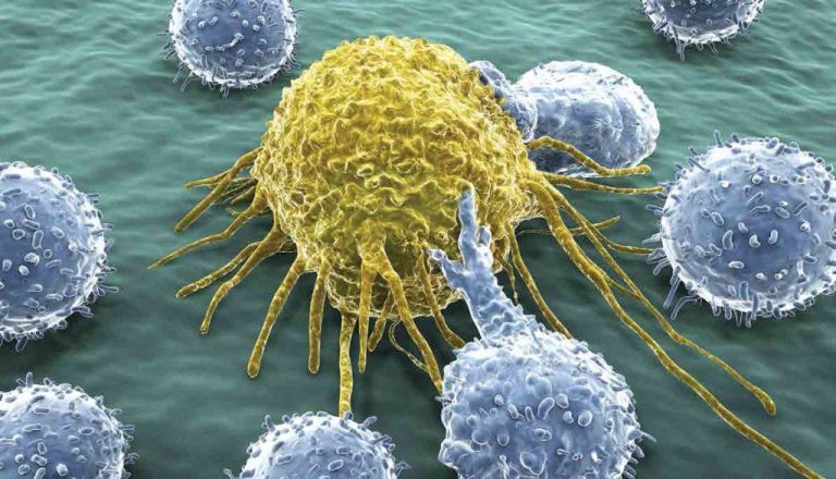 La quimioterapia mata incluso células sanas, el cannabis solo las cancerosas