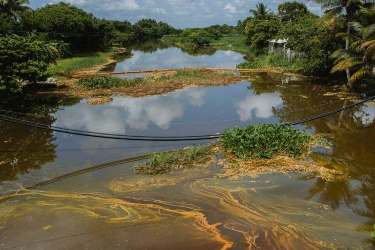 Los 10 ecocidios del 2018 en Latinoamérica