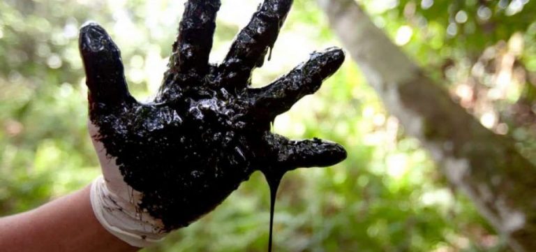 Fin de la era del petróleo. Alimentos o biocombustibles