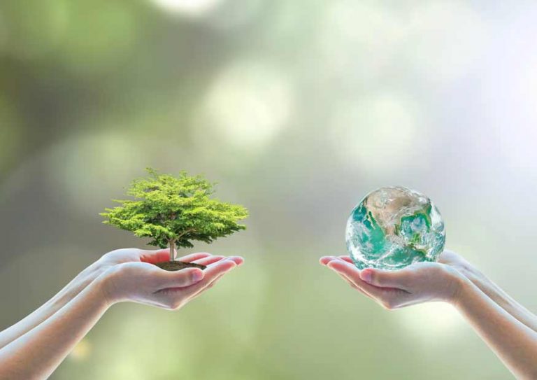 Eco-calendario 2019, para cuidar el Planeta
