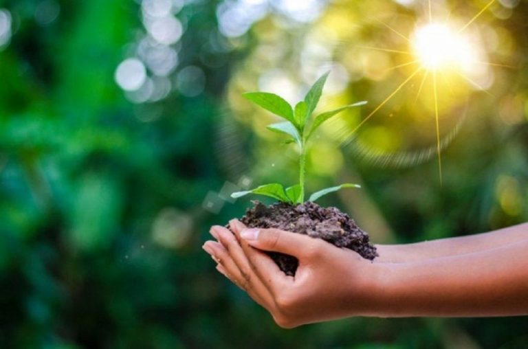 Guía para la evaluación de servicios ecosistémicos 2 Guía para la evaluación de servicios ecosistémicos