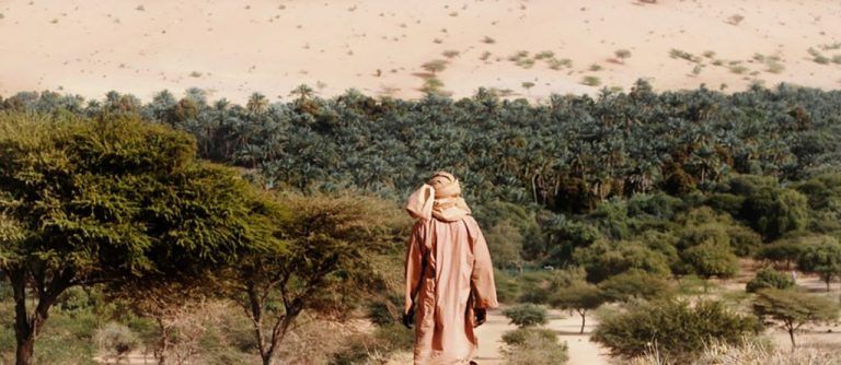 Los proyectos de reforestación más impactantes de la historia