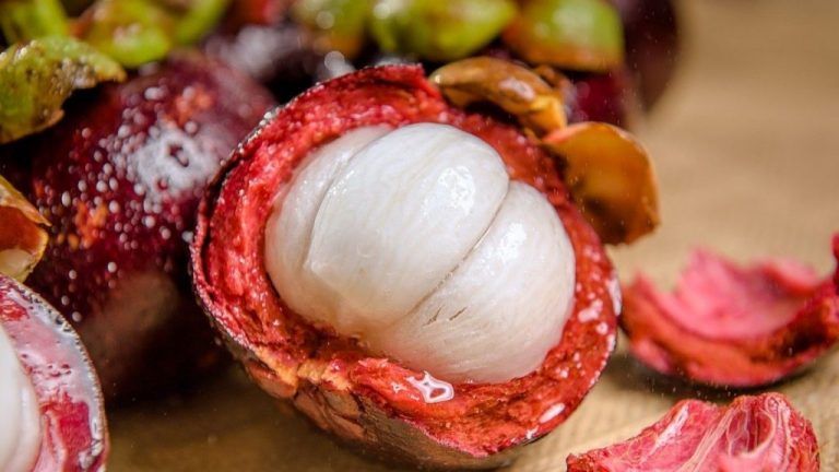 El mangostino, un tesoro de la medicina natural 4 El mangostino, un tesoro de la medicina natural