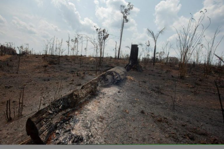 El modelo agroindustrial y los incendios amazónicos
