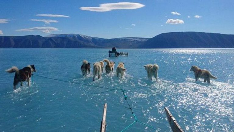 Deshielo masivo de Groenlandia no sucedería hasta 2070, pero... 6 Deshielo masivo de Groenlandia no sucedería hasta 2070, pero…
