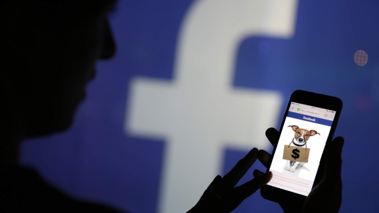 Facebook prohíbe la venta de animales en su Red Social 4 Facebook prohíbe la venta de animales en su Red Social