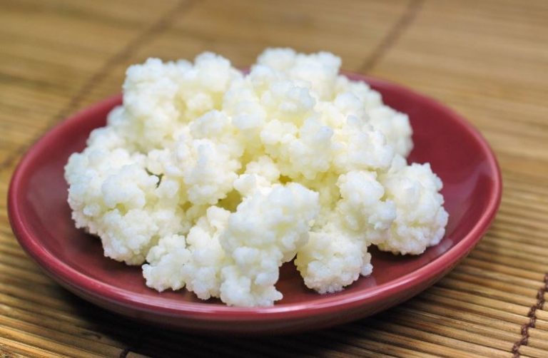 Recetas para consumir tu kéfir de leche 3 Recetas para consumir tu kéfir de leche