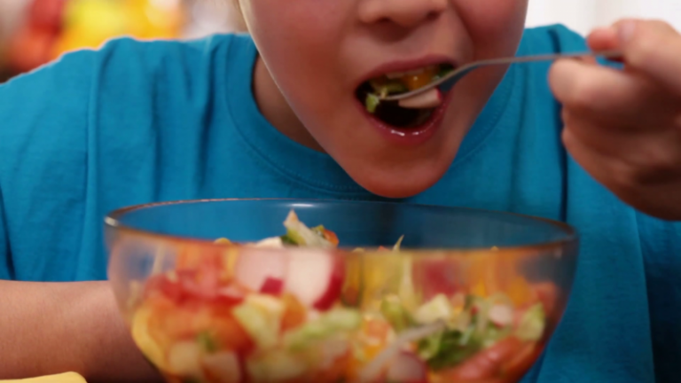 La nueva dieta humana que cambiaría el futuro del Planeta 8 La nueva dieta humana que cambiaría el futuro del Planeta