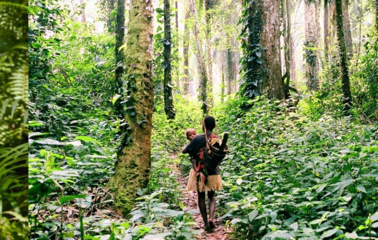 Científicos reconocen que tierras en manos indígenas frenan crisis climática