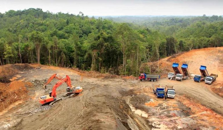 Deforestación del Amazonía, las multinacionales con una conciencia sucia