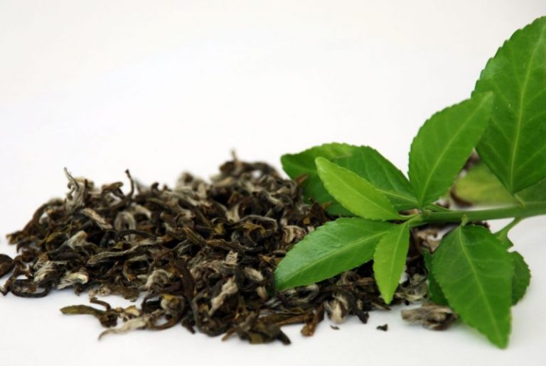 Hierbas que son Antiinflamatorios naturales 7 Hierbas que son Antiinflamatorios naturales