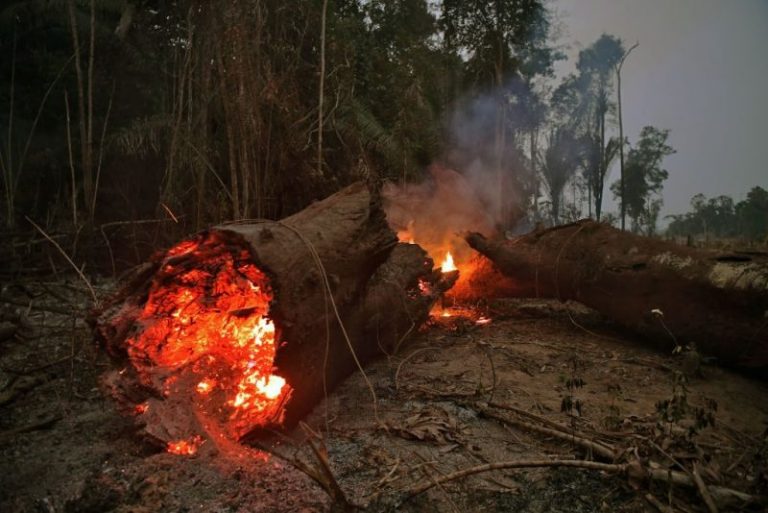 10 verdades sobre los incendios en la Amazonía que debes saber