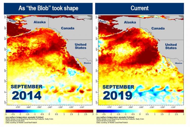 Una ola de calor marina golpea el Pacífico y genera temores