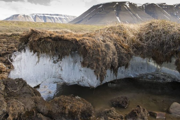 El permafrost del ártico está liberando rápidamente carbono a la atmósfera 8 El permafrost del ártico está liberando rápidamente carbono a la atmósfera