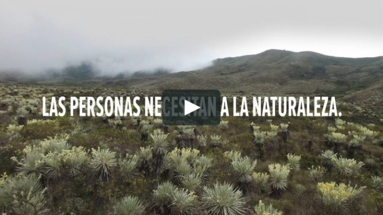 La Naturaleza nos habla: AGUA