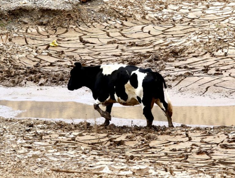Chile decretó zona de catástrofe en Valparaíso por sequía 3 Chile decretó zona de catástrofe en Valparaíso por sequía
