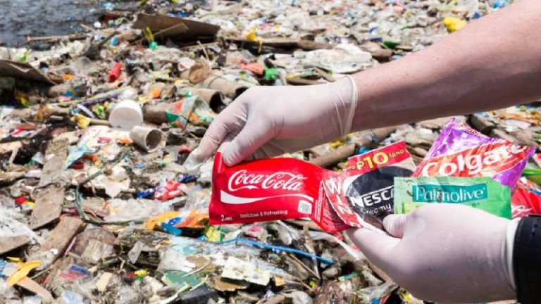 La Basura: Un problema que ensucia a los empresarios 10 La Basura: Un problema que ensucia a los empresarios
