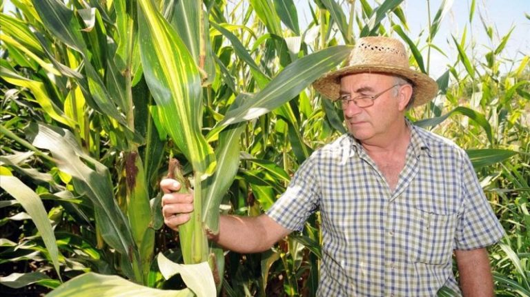 Entrevista a Josep Pàmies: “Sin química se puede hacer mejor agricultura y más rentable” 10 Entrevista a Josep Pàmies: “Sin química se puede hacer mejor agricultura y más rentable”