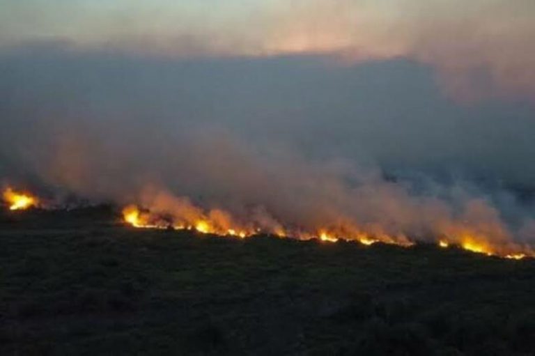 Incendios masivos ahora arrasan los humedales tropicales de Brasil