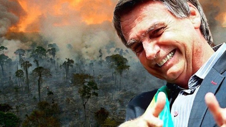 El Amazonas perdió un área 12 veces el tamaño de Nueva York sólo el año pasado 2 El Amazonas perdió un área 12 veces el tamaño de Nueva York sólo el año pasado