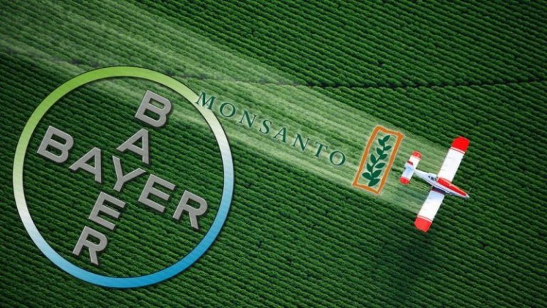 Bayer-Monsanto se declara culpable por fumigar ilegalmente con un pesticida prohibido 3 Bayer-Monsanto se declara culpable por fumigar ilegalmente con un pesticida prohibido
