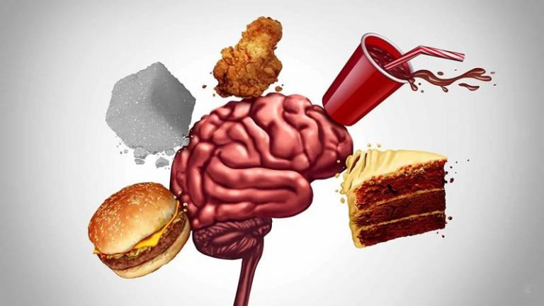 Esto le sucede a tu cerebro cuando comes comida rápida 7 Esto le sucede a tu cerebro cuando comes comida rápida