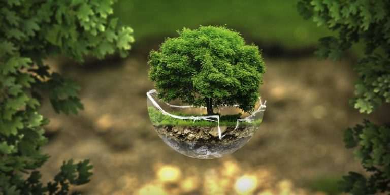 ¿Esta solución natural será efectiva para combatir el calentamiento global? 3 ¿Esta solución natural será efectiva para combatir el calentamiento global?