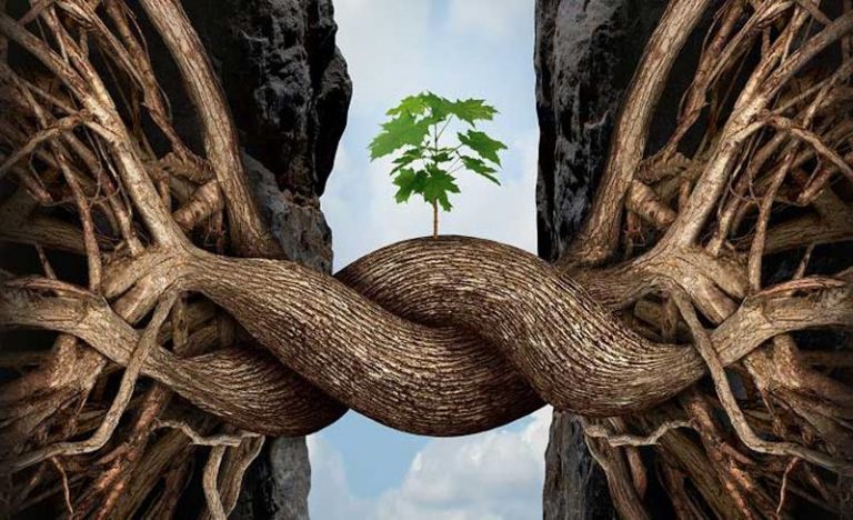 Ecosistemas y resiliencias frente al cambio climático 3 Ecosistemas y resiliencias frente al cambio climático