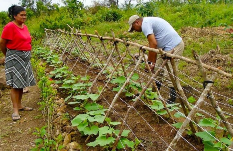 Qué es la agricultura regenerativa? 1 Qué es la agricultura regenerativa?