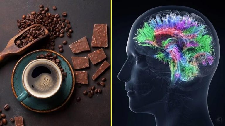 ¿Pueden el café y el chocolate aumentar la inteligencia? 7 ¿Pueden el café y el chocolate aumentar la inteligencia?