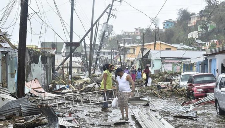 Disminuyen las poblaciones del Caribe por el cambio climático 6 Disminuyen las poblaciones del Caribe por el cambio climático