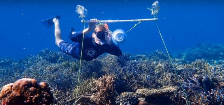 La "música de arrecife de coral artificial” atrae peces para ayudar al ecosistema 7 La «música de arrecife de coral artificial” atrae peces para ayudar al ecosistema