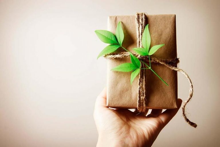 Navidad verde: Ideas para actuar de manera creativa y sostenible 9 Navidad verde: Ideas para actuar de manera creativa y sostenible