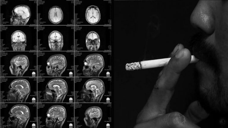 Así es como la nicotina impacta el cerebro