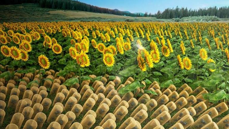 Crean paneles solares que actúan como girasoles 5 Crean paneles solares que actúan como girasoles