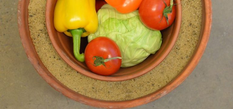 Cómo conservar alimentos frescos sin electricidad